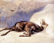 The Chamois, Sketched In The Tyrol - 约翰·费德里克·里维斯